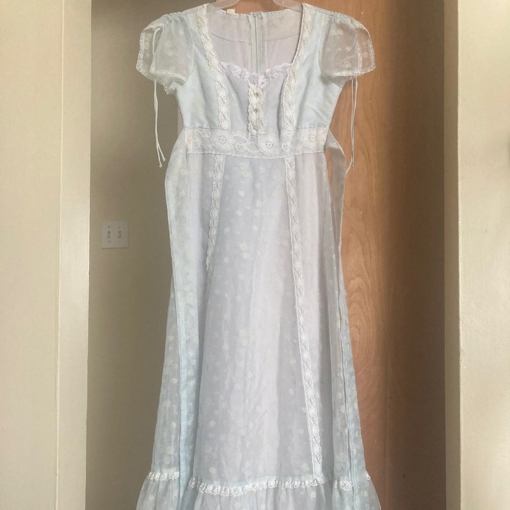 True Vintage 1960s/70s Cottagecore Gown